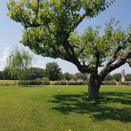 Agriturismo Villa Al Piano Todi Exteriér fotografie