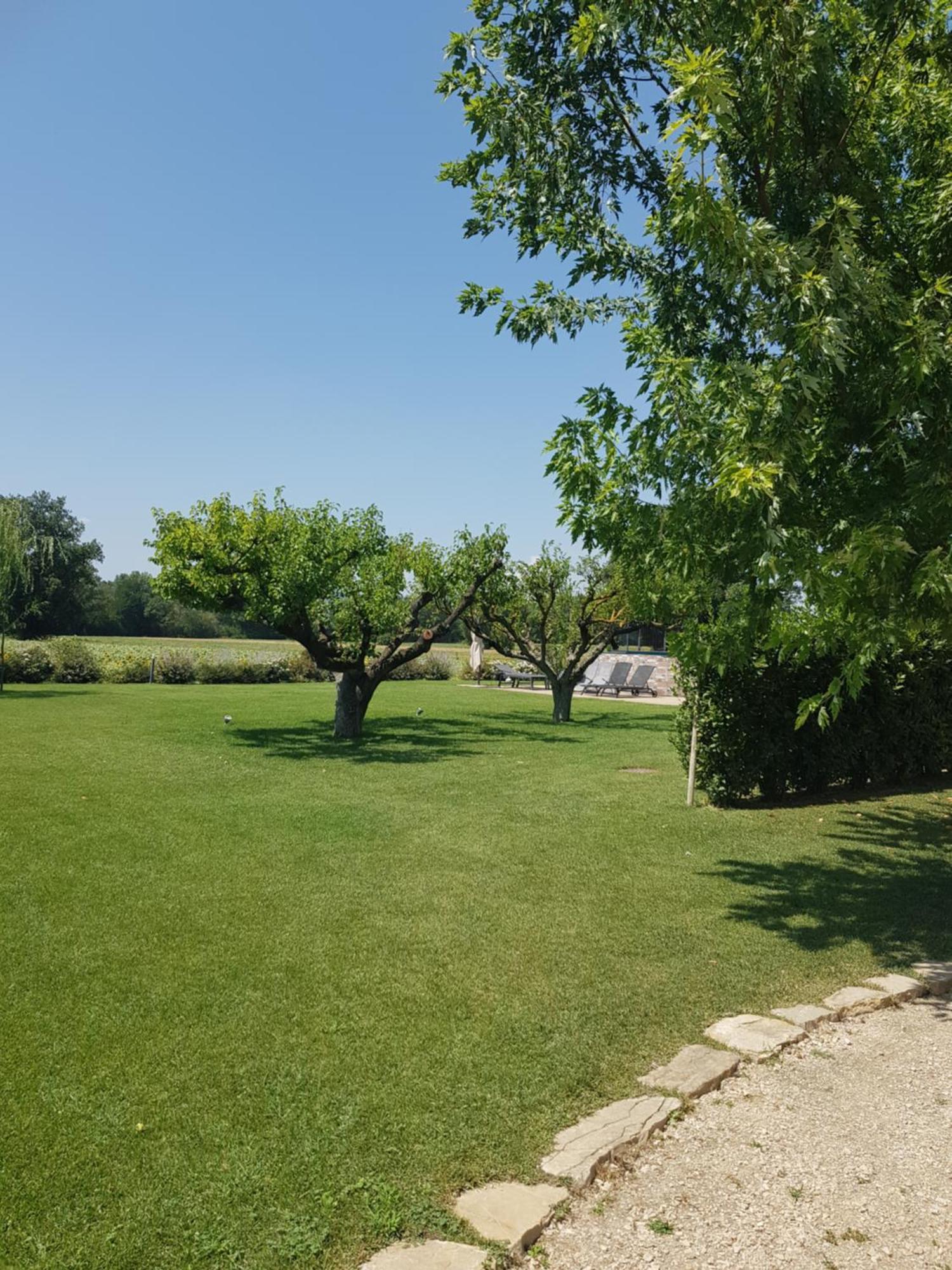 Agriturismo Villa Al Piano Todi Exteriér fotografie