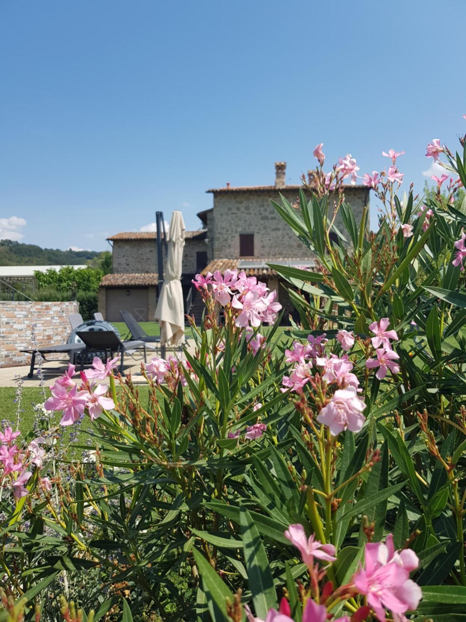 Agriturismo Villa Al Piano Todi Exteriér fotografie