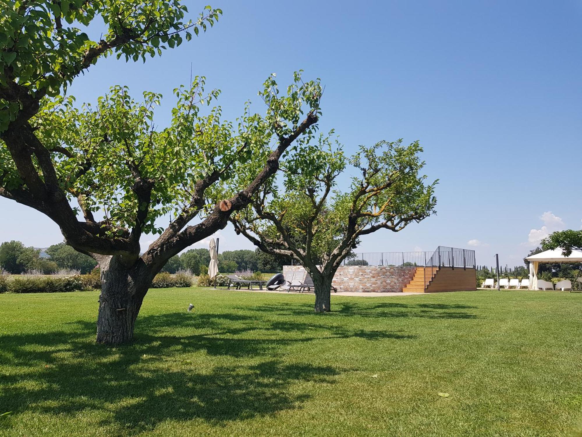 Agriturismo Villa Al Piano Todi Exteriér fotografie