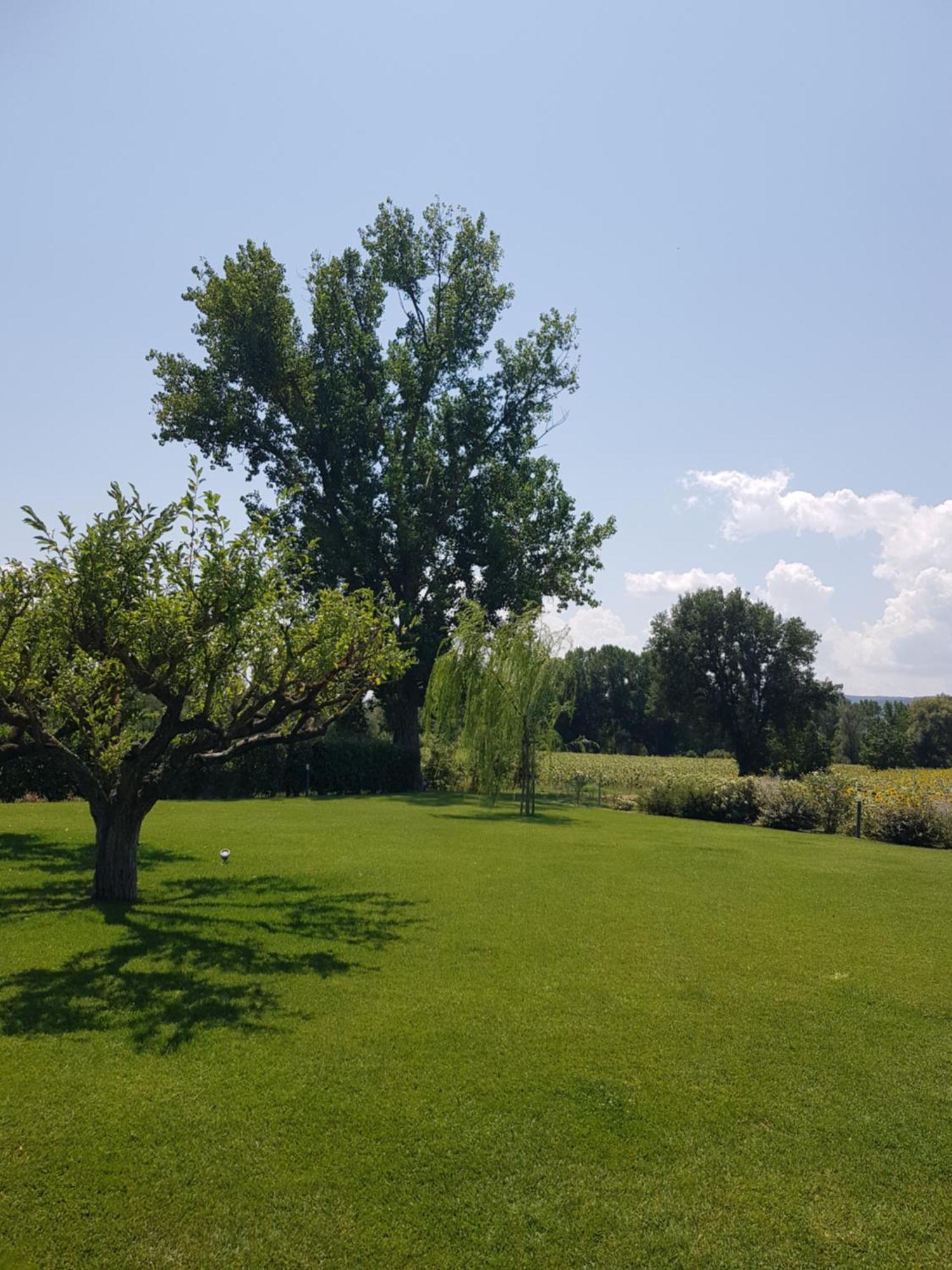Agriturismo Villa Al Piano Todi Exteriér fotografie