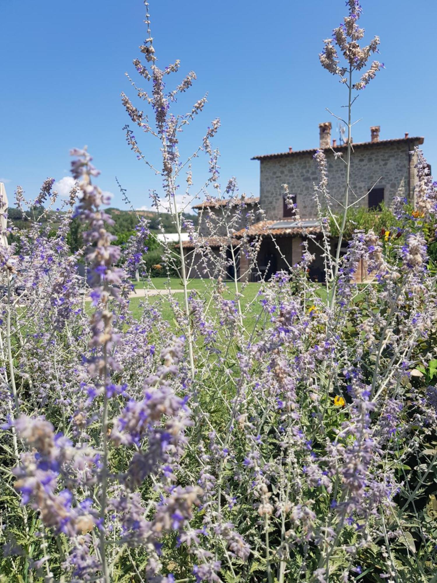 Agriturismo Villa Al Piano Todi Exteriér fotografie